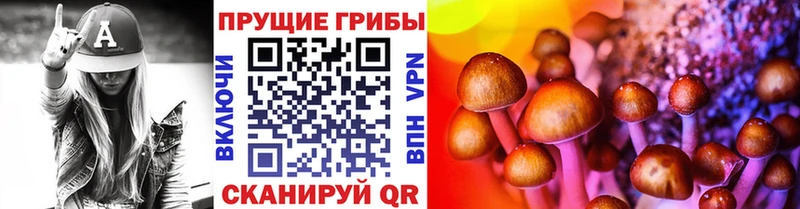 где продают наркотики  shop Telegram  Псилоцибиновые грибы ЛСД  Верещагино 